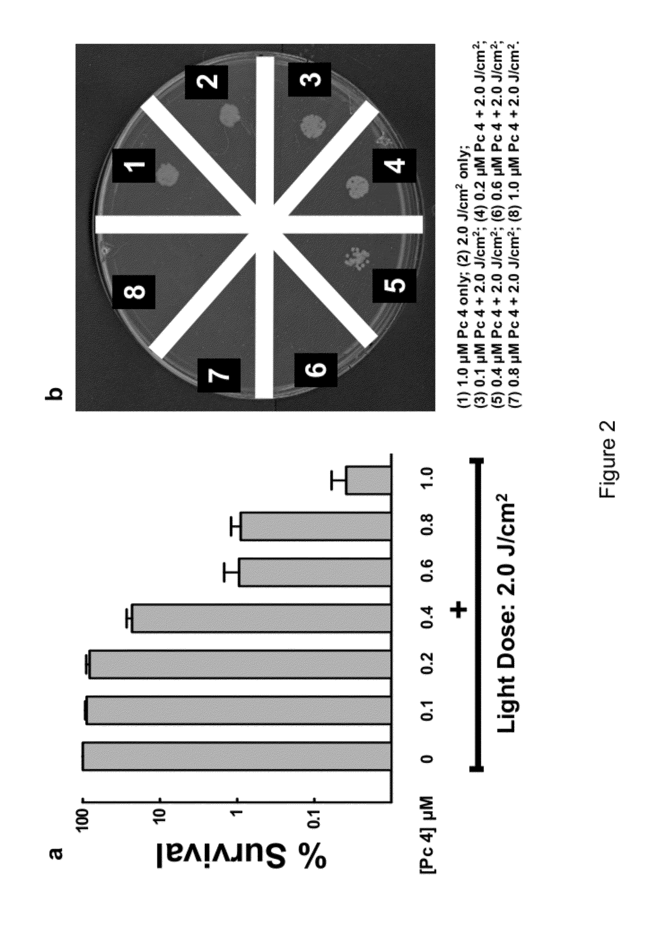 Phthalocyanine-based antifungal agents