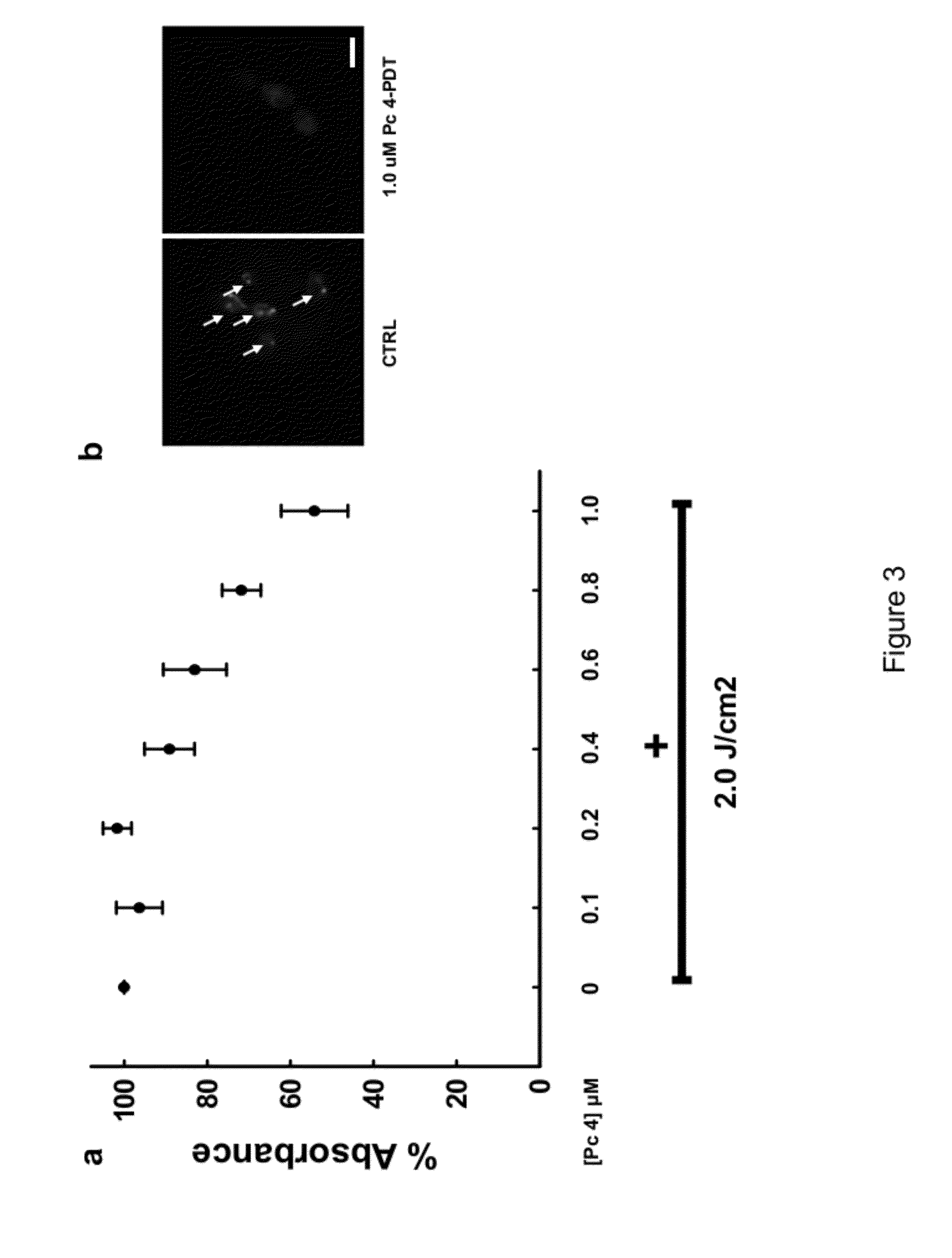 Phthalocyanine-based antifungal agents