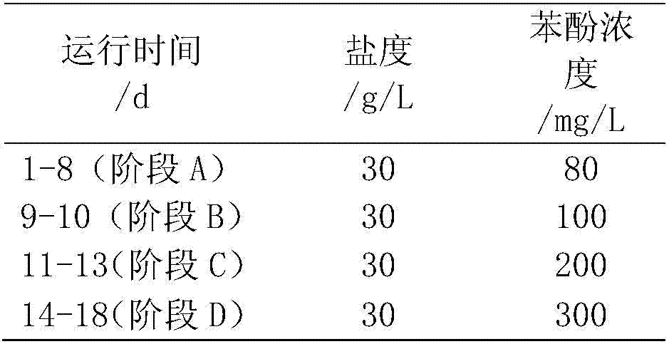 A kind of activated sludge for treating high-salt and phenol-containing wastewater and its application