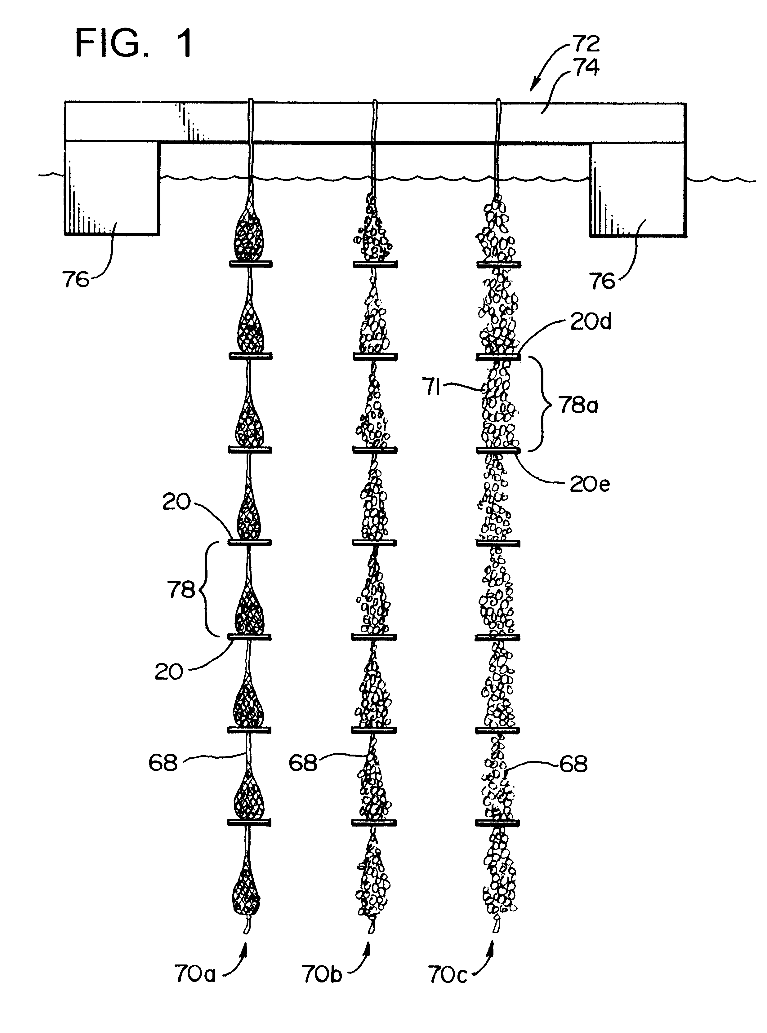 Method and apparatus for supporting aquacultured mussels