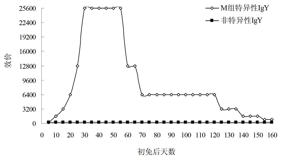 Preparation method, application and medicine composition and preparation of specific egg yolk immunoglobulin (IgY) and acinetobacter baumannii, as well as preparation and kit