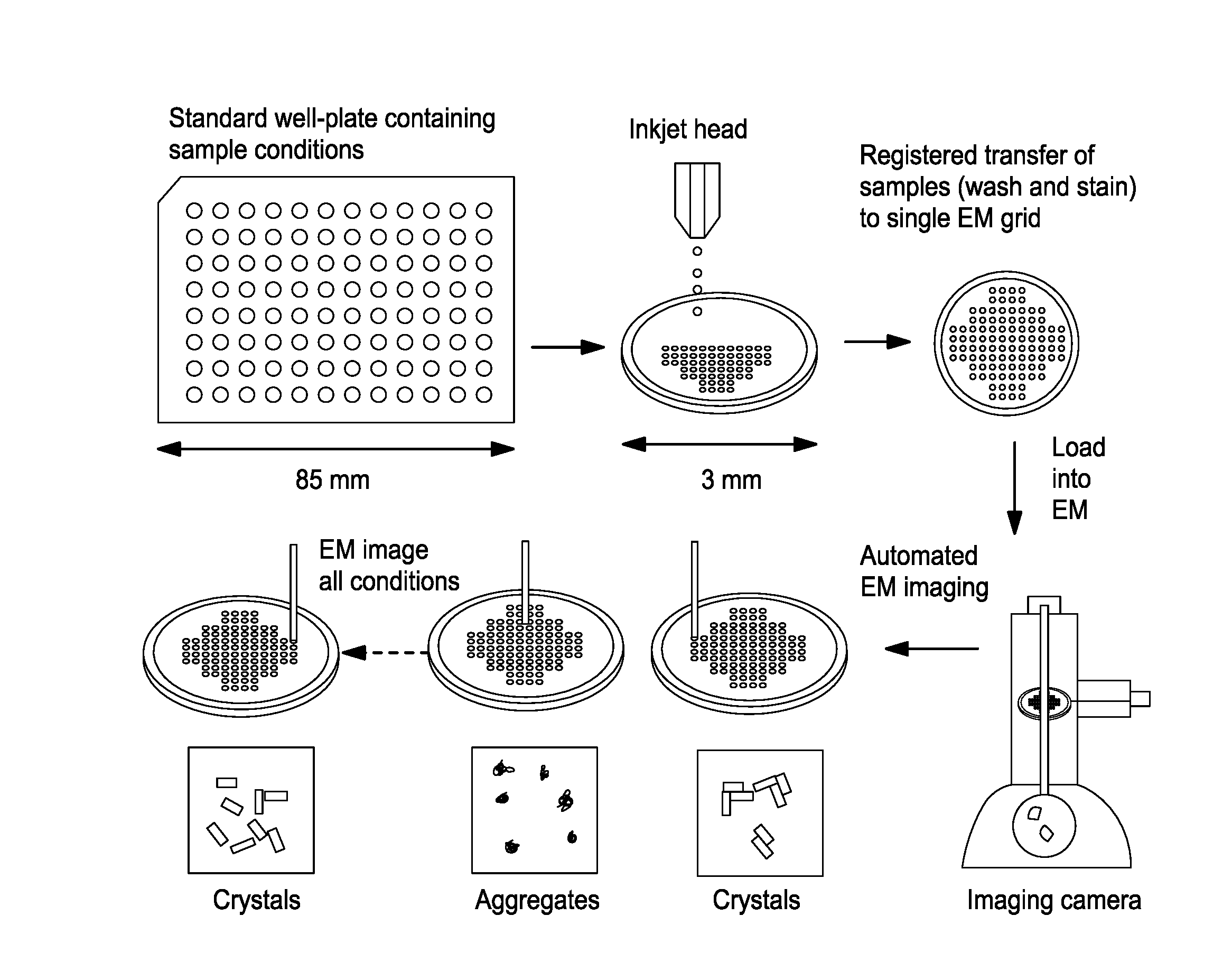 Preparation of specimen arrays on an em grid