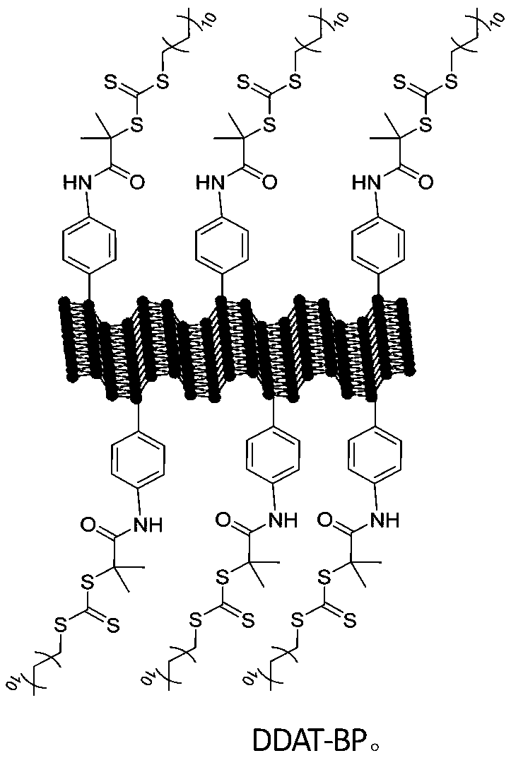 Novel reversible additive-fragment transfer (RAFT) reagent based on black phosphorus and preparation method and application thereof