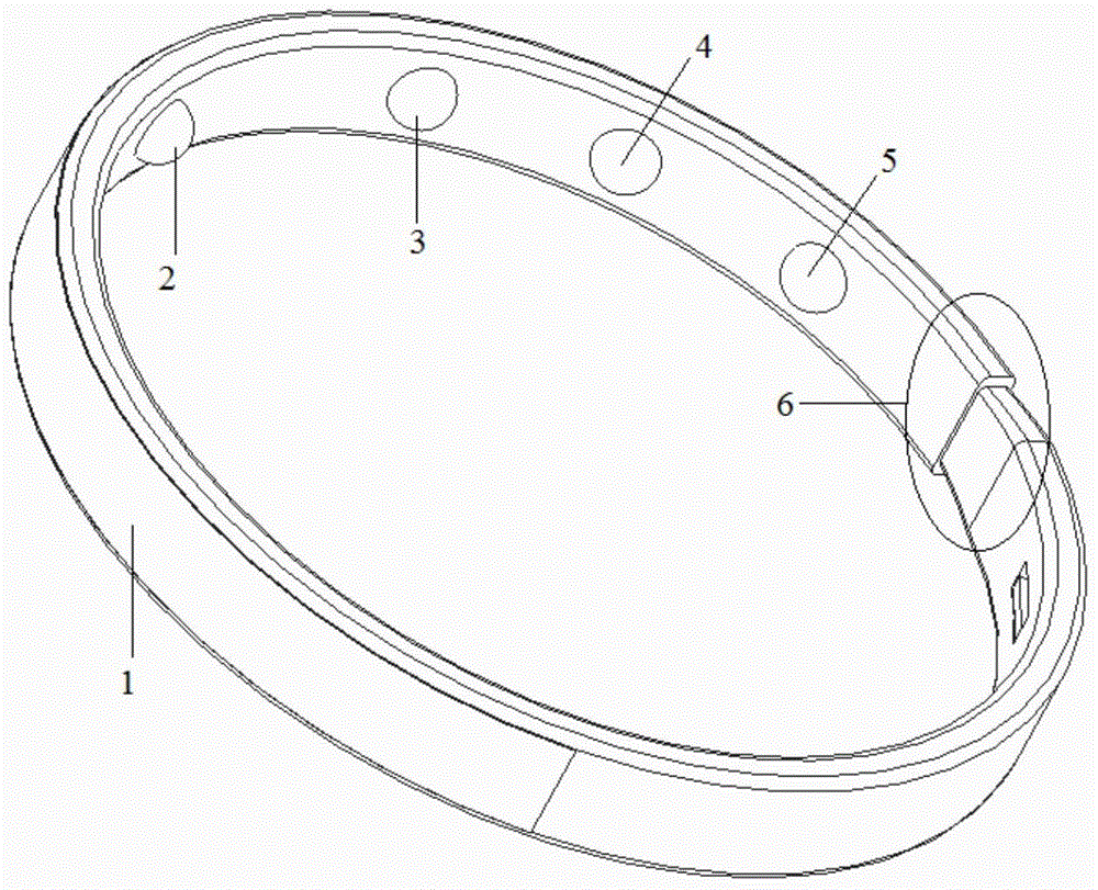 Pet collar with physiological parameter monitoring and positioning functions