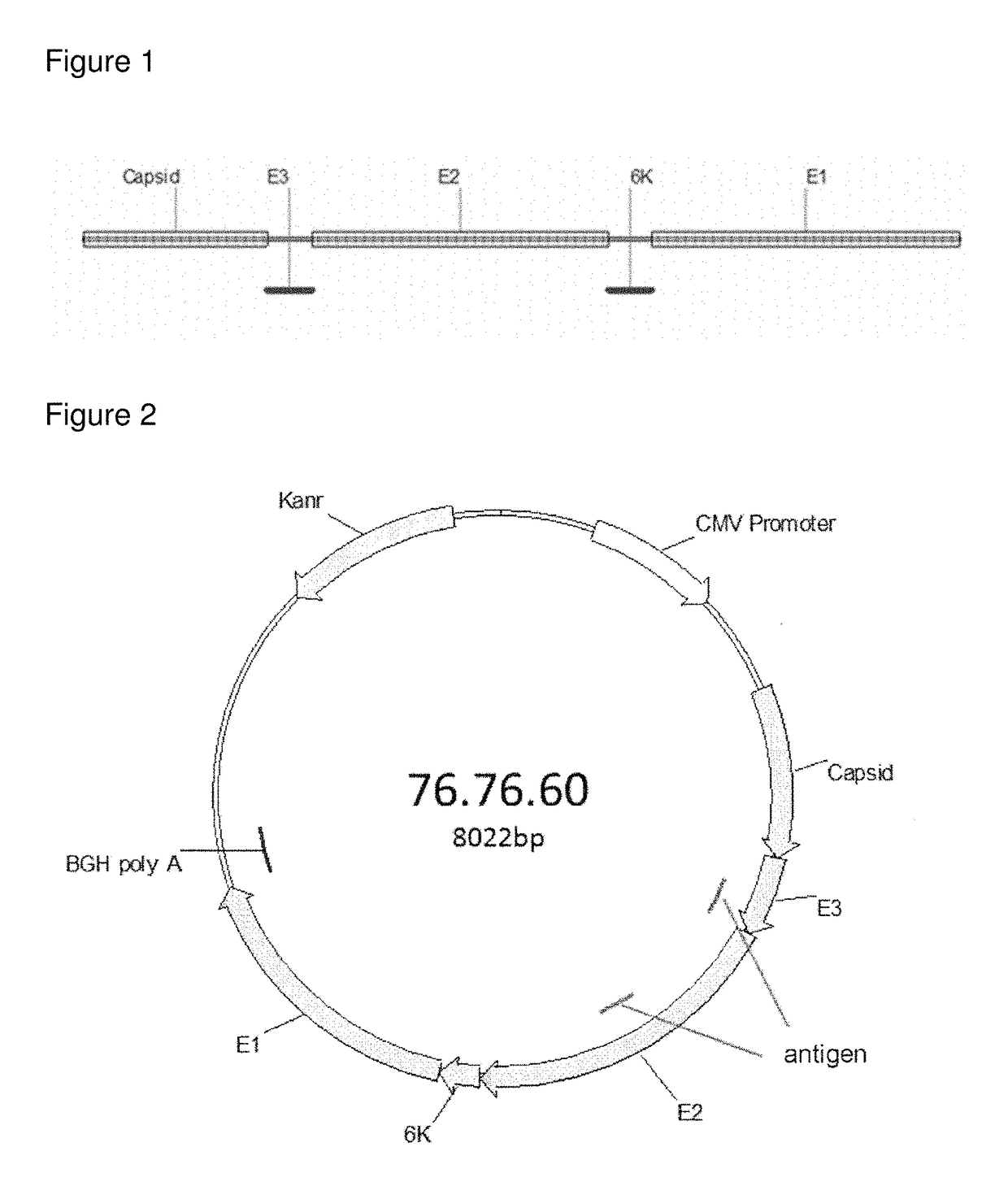 Virus like particle comprising modified envelope protein E3