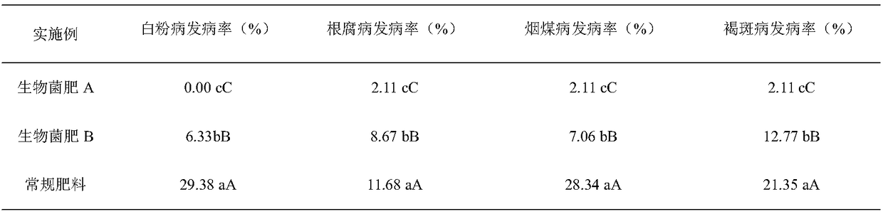 Efficient foliar bacterial fertilizer of rosa roxburghii and preparation and application thereof