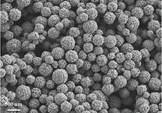 A preparation method of c/n co-doped porous cuprous oxide nanospheres based on sericin