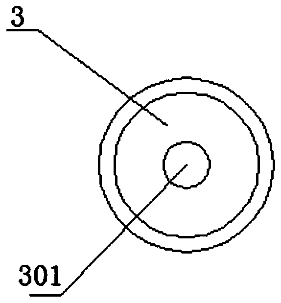 Large animal ventricle puncture system