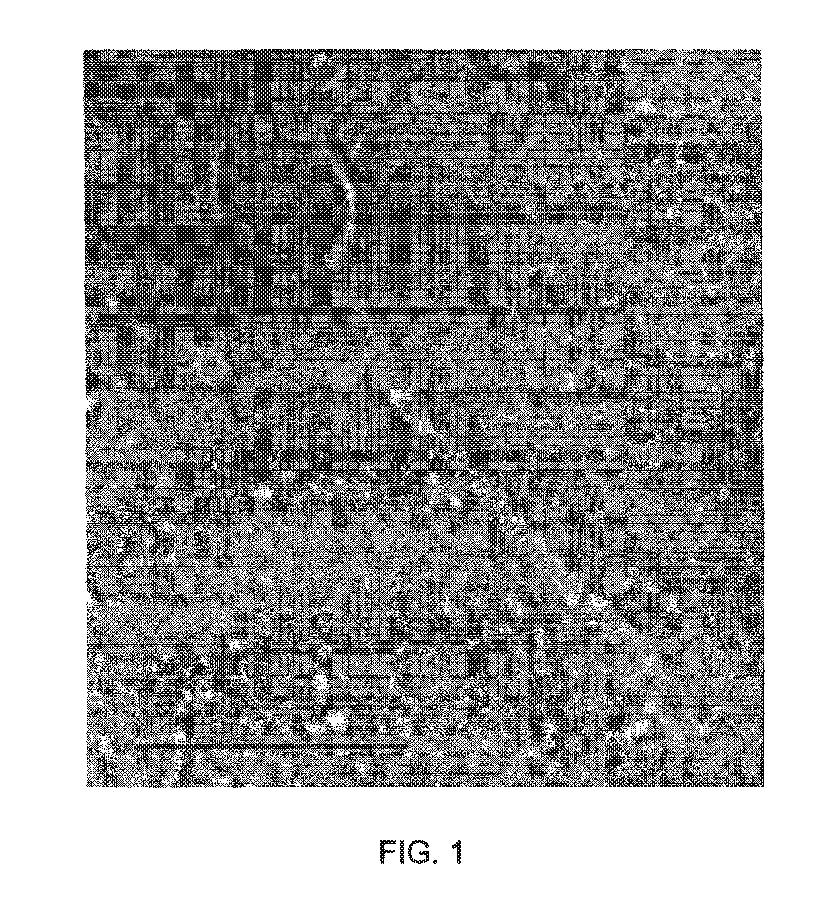 Polypeptides having endolysin activity and uses thereof