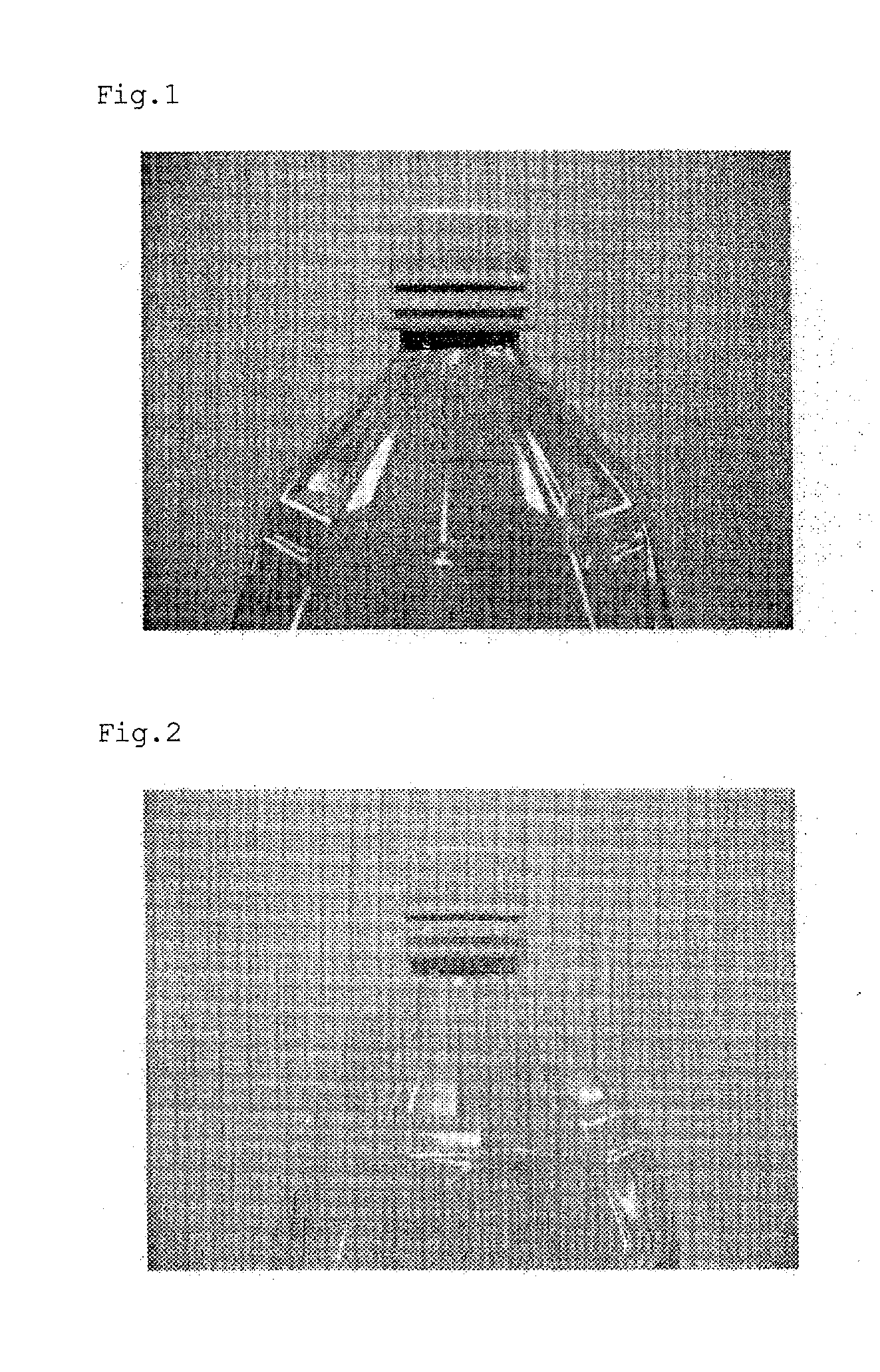 Method for preventing carotenoid pigment from adhering to container
