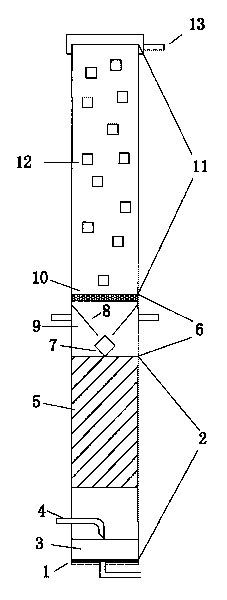 Integrated up-flow reactor and advanced treatment method of fermentation industrial effluent