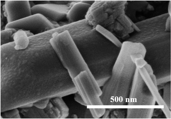 A kind of sodium salt-blast furnace dust catalyst and its method for preparing biodiesel