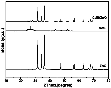 CdS/ZnO composite piezoelectric photocatalyst and preparation method and application thereof
