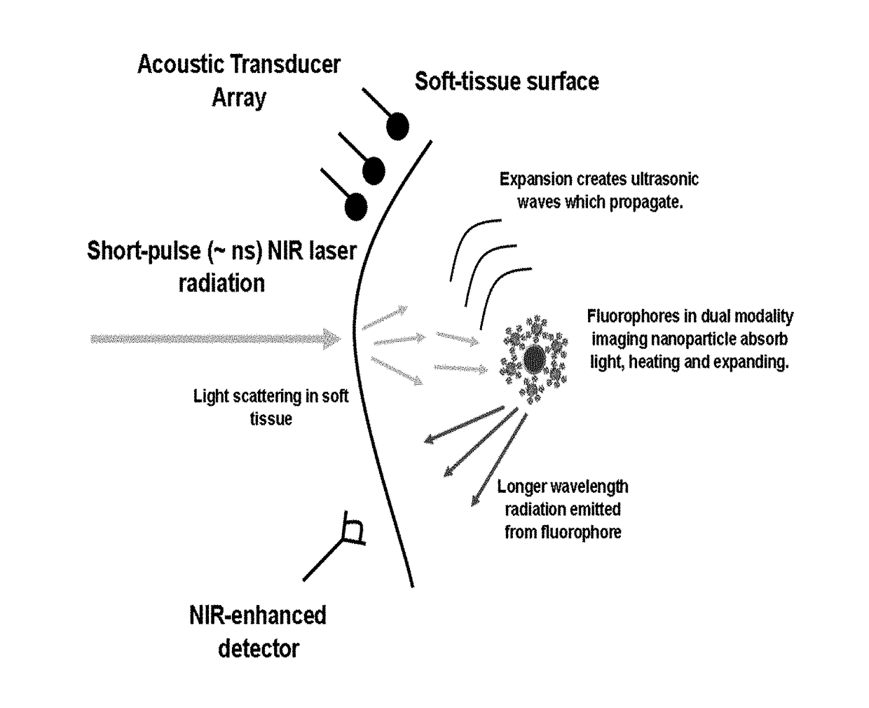 Handheld device and multimodal contrast agent for early detection of human disease