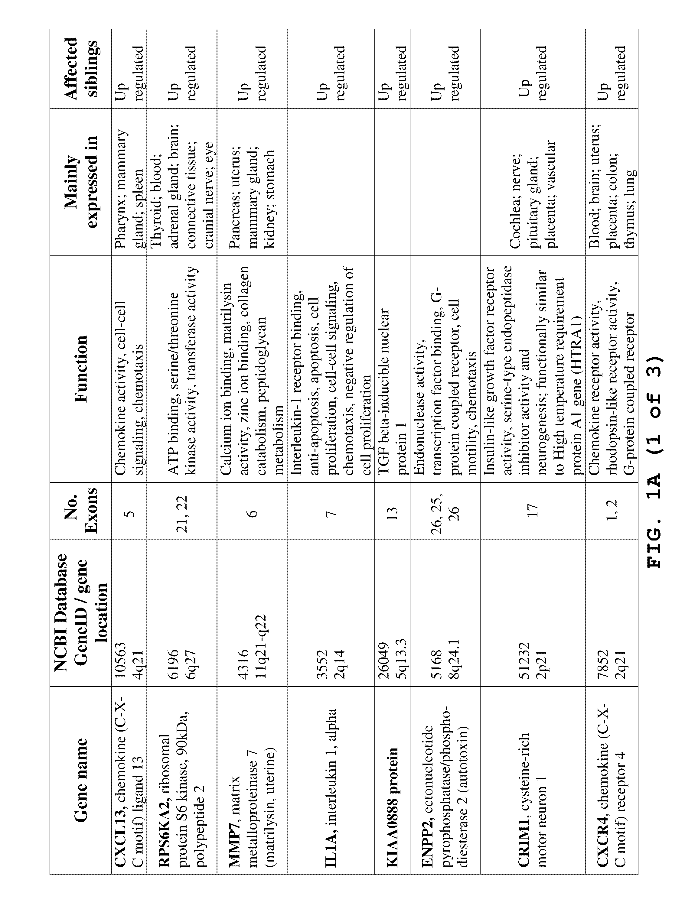 Methods and Compositions for the Diagnosis and Treatment of Angiogenic Disorders