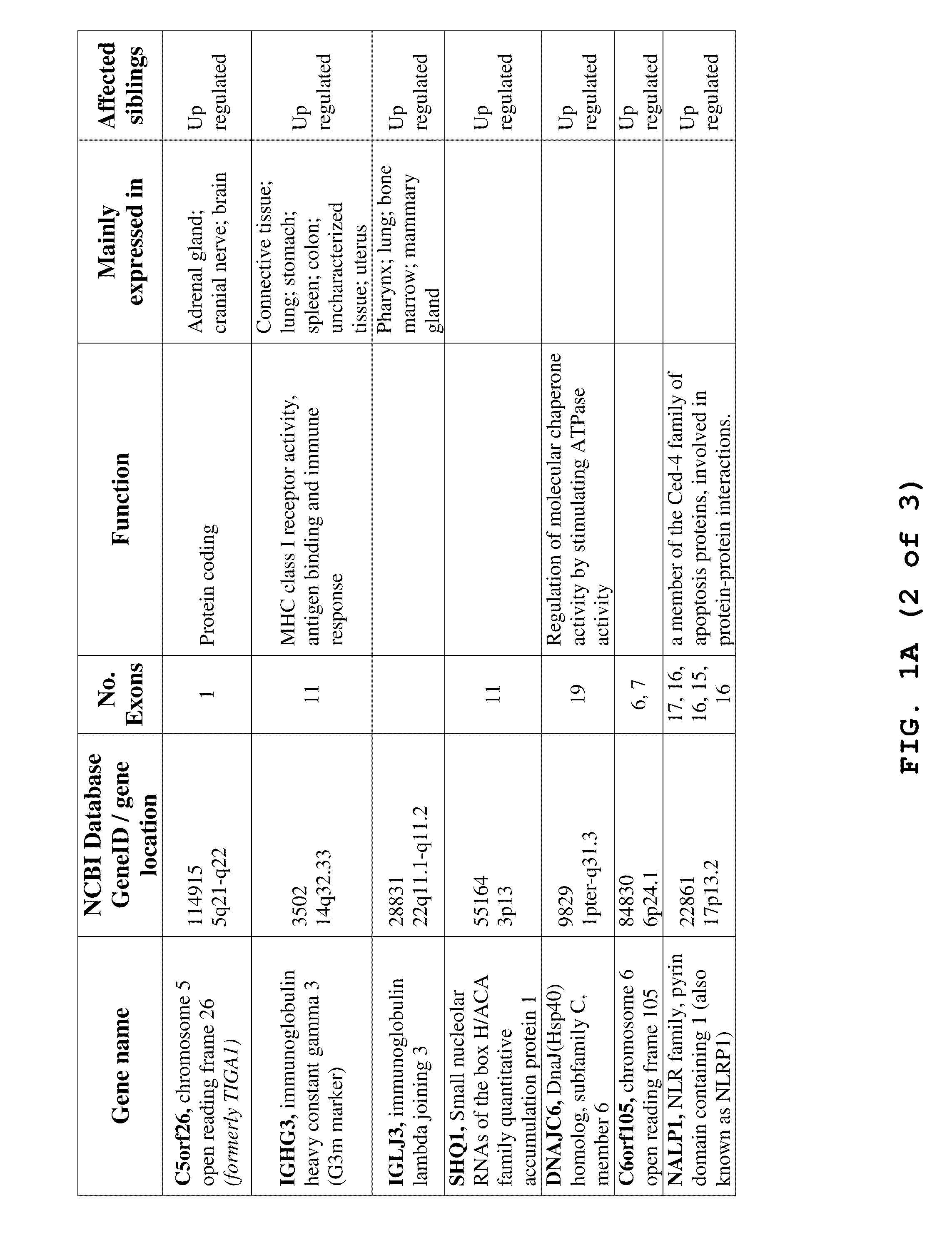 Methods and Compositions for the Diagnosis and Treatment of Angiogenic Disorders