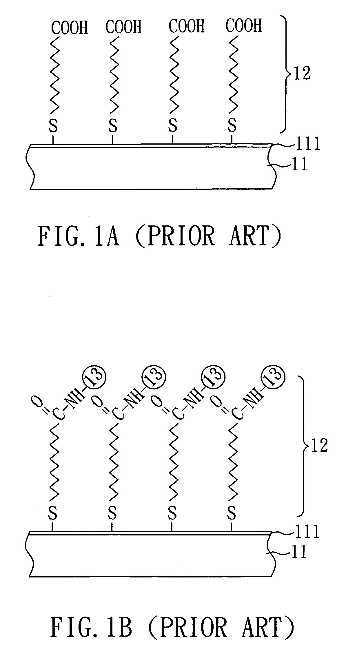 Method for biomolecule immobilization