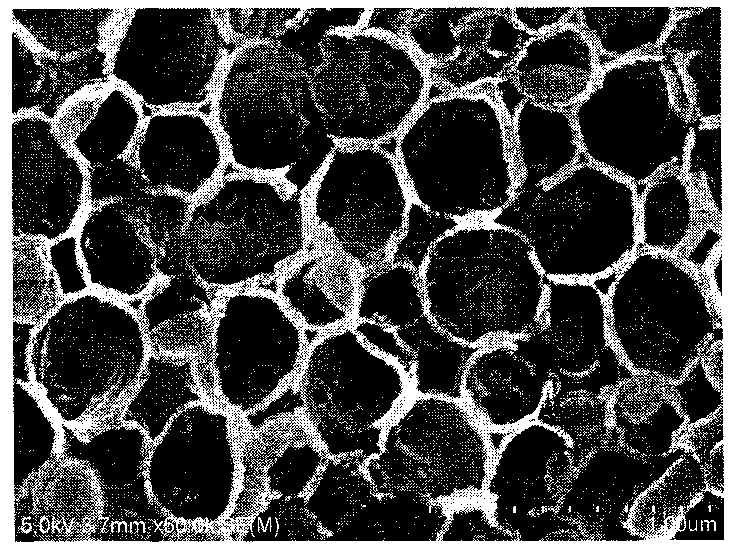 Titanium dioxide photonic crystal film for photocatalytic degradation of organic matters