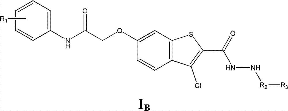 Substituted hydrazide compound, and its preparation method, medicinal compositions and application
