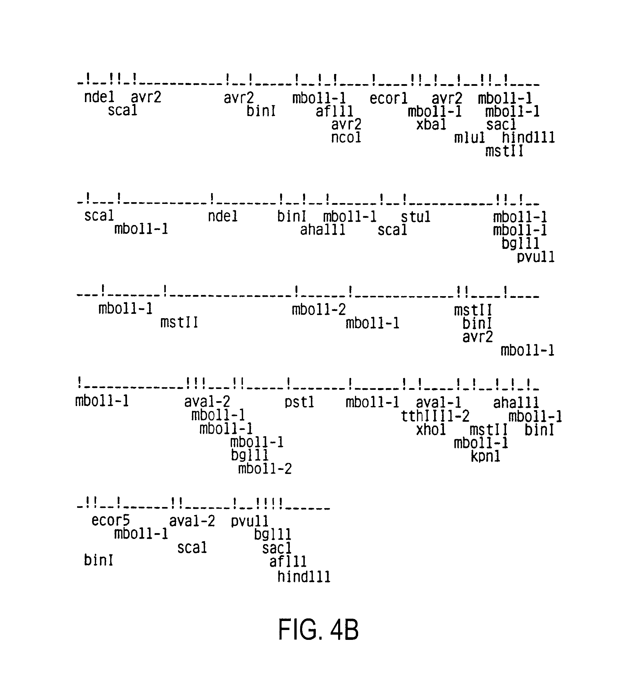 Human immunodeficiency virus (HIV) nucleotide sequences