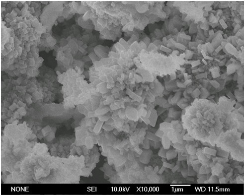 Hydrothermal preparation method of copper-doped zinc oxide composite lithium iron phosphate cathode material