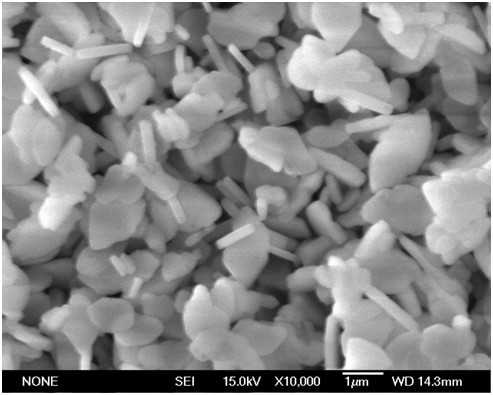 Hydrothermal preparation method of copper-doped zinc oxide composite lithium iron phosphate cathode material