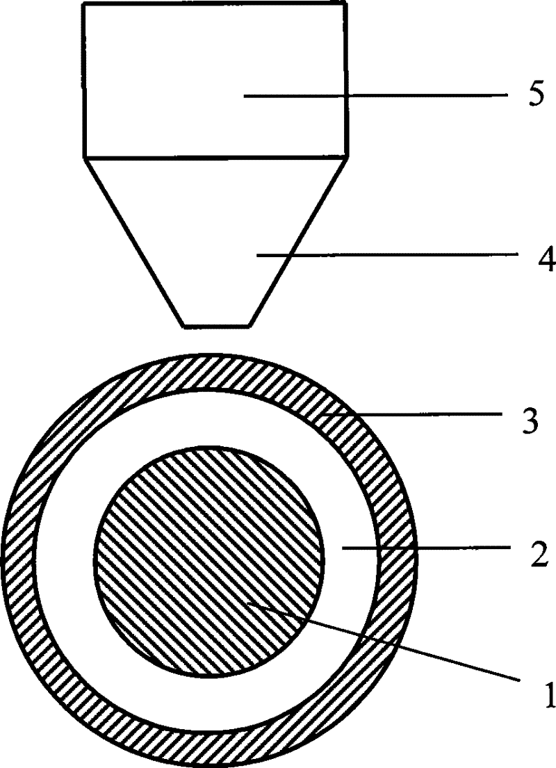 Method and apparatus for forming of radiation orientating round ring-shaped magnetic body