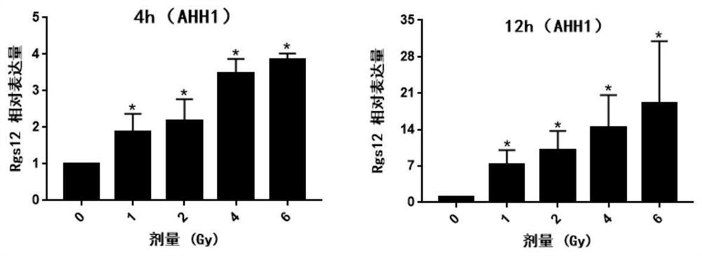 Application of Rgs12 as gamma-ray radiation biomarker