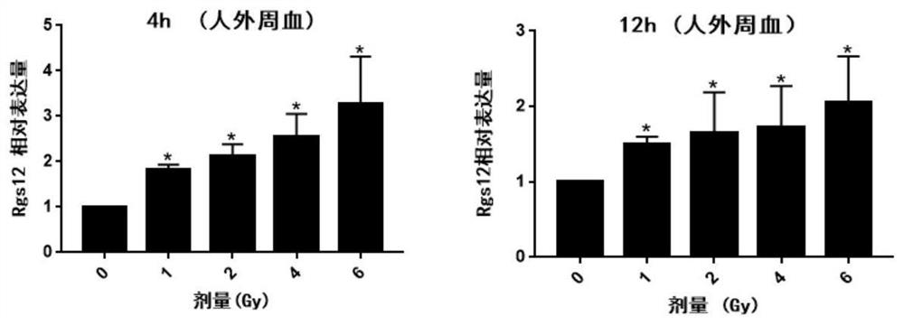 Application of Rgs12 as gamma-ray radiation biomarker