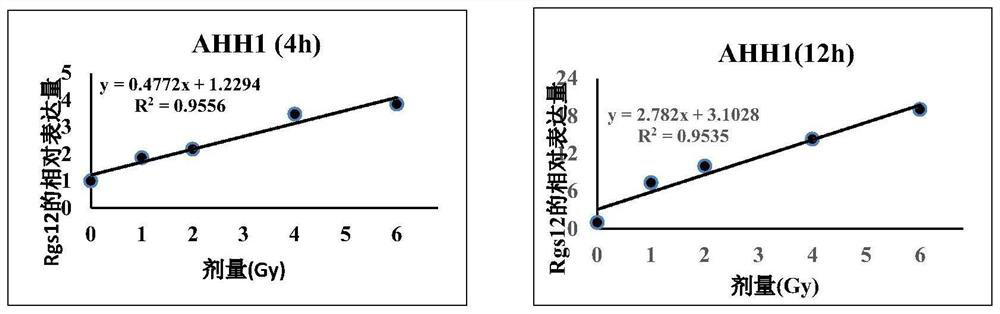 Application of Rgs12 as gamma-ray radiation biomarker