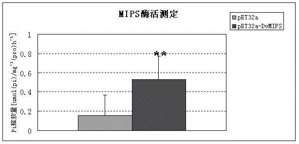 Dunaliellaviridis myo-Inositol-1-phosphatesynthase gene, and protein coded thereby and application thereof