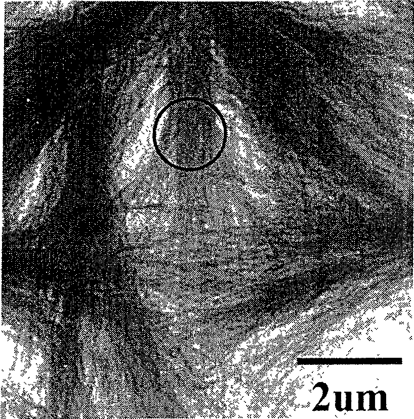 High order polythiophene film and preparation process thereof