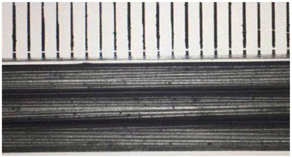 Method for preparing hollow fiber electro-catalysis membrane reactor with petal-shaped cross section