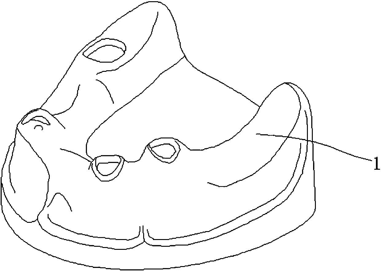 Mandible oral cavity model with mandible neural tube and injection moulding method thereof