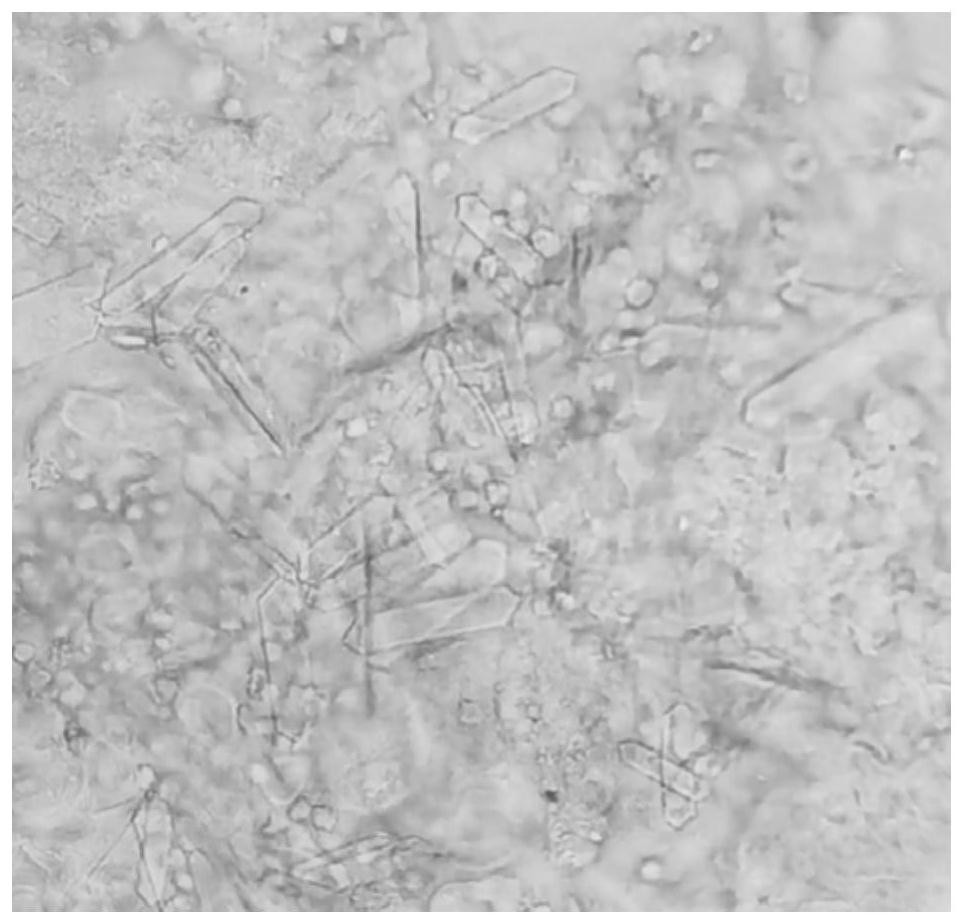 Composition for constructing urolithiasis cat disease model