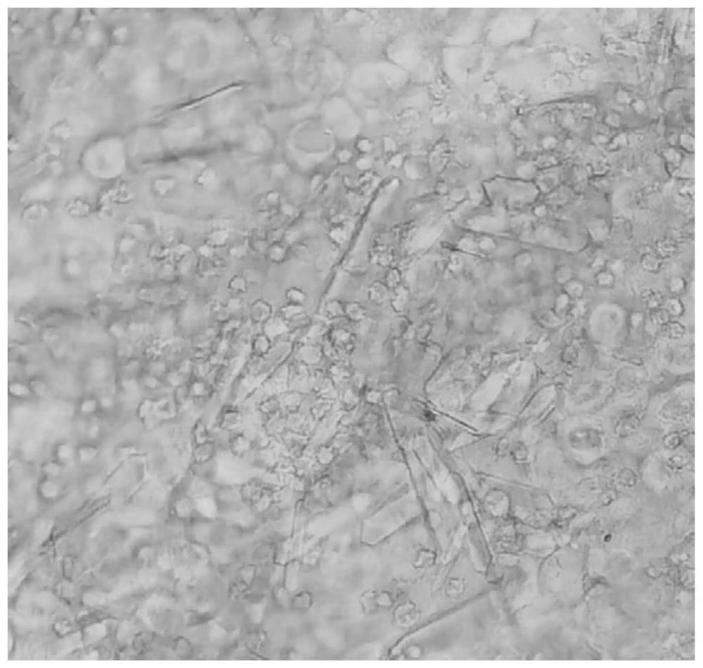 Composition for constructing urolithiasis cat disease model