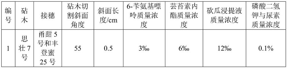 Hypocotyl grafting method for interspecific interaction research