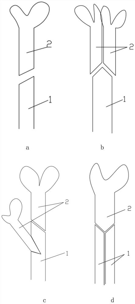 Hypocotyl grafting method for interspecific interaction research