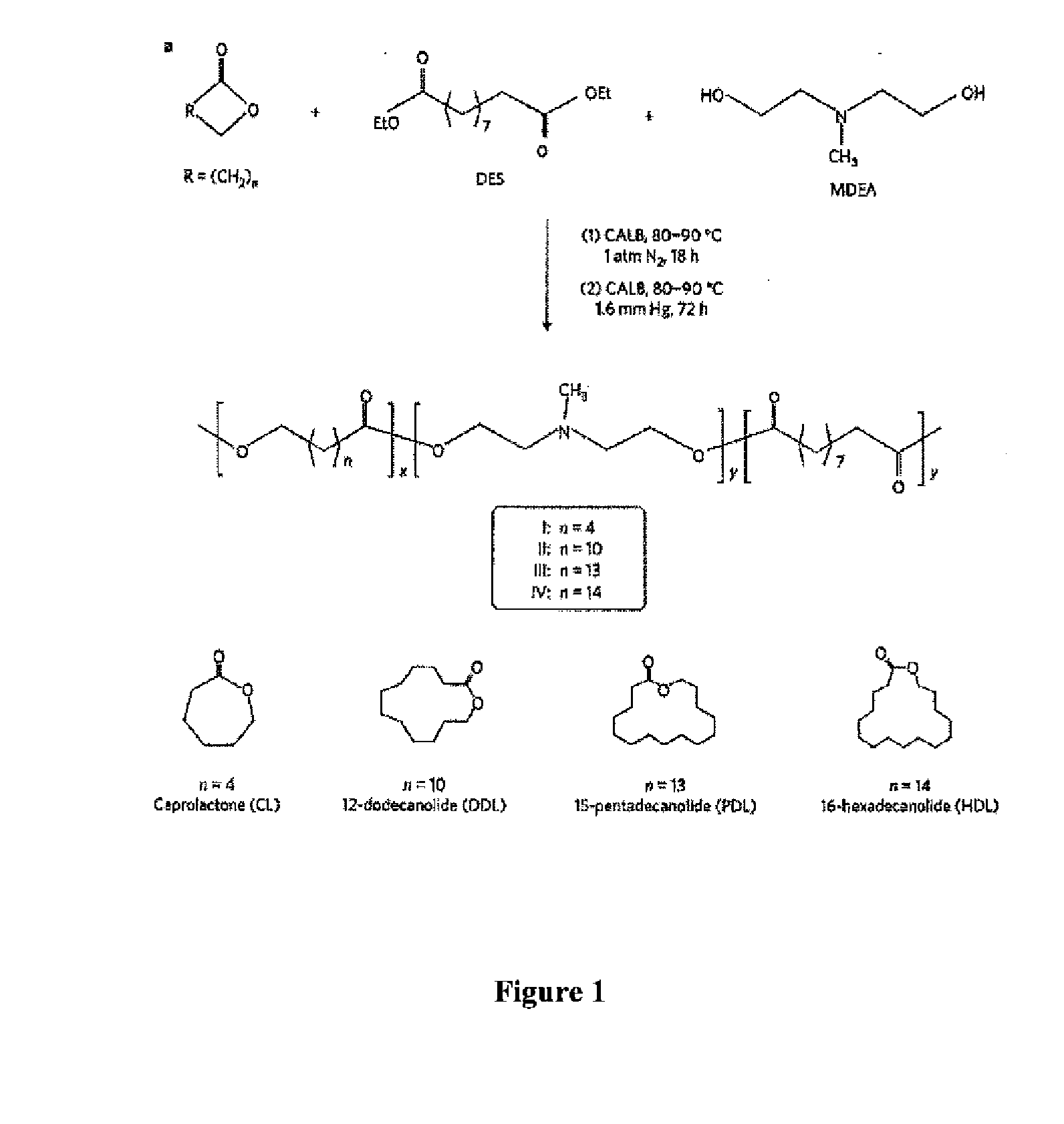 Enzymatic synthesis of poly(amine-co-esters) and methods of use thereof for gene delivery