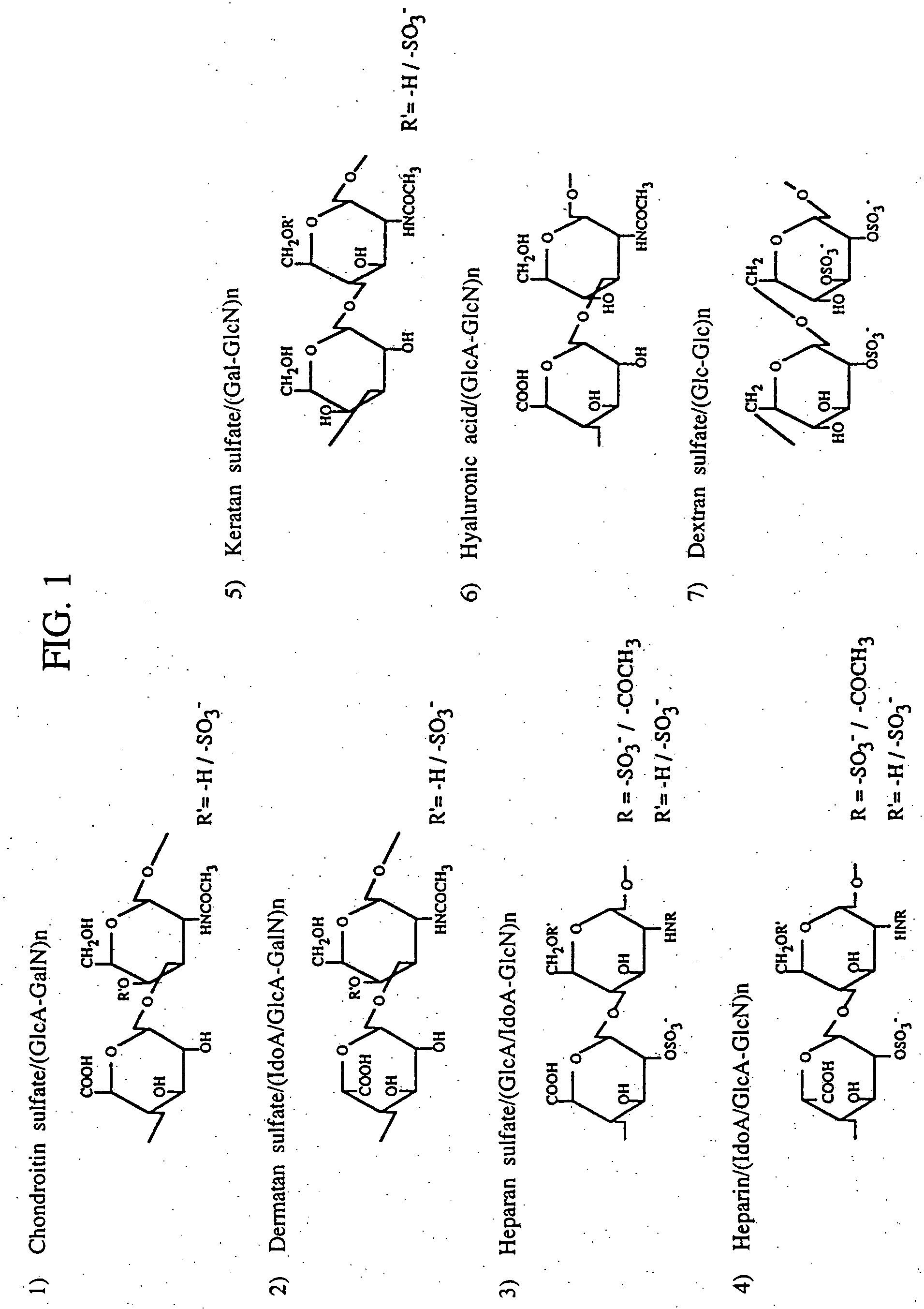 Heparin-binding proteins modified with sugar chains, method of producing the same and pharmaceutical compositions containing same