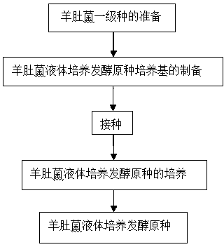 Fermentation stock seed for liquid culture of morchella esculenta, preparation method of fermentation stock seed and method for realizing liquid culture by using stock seed