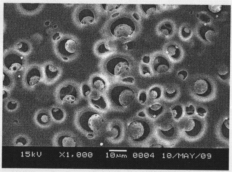 A kind of preparation method of chitosan/polyvinyl alcohol/polylactic acid blend dense film