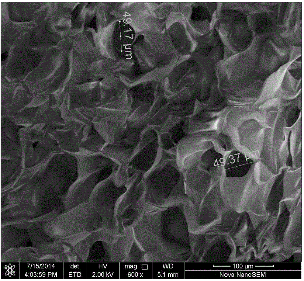 3D printed porous metal with bionic three-dimensional (3D) micro-scaffold and preparation method of 3D printed porous metal