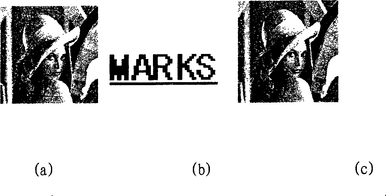 Method and device for uniting digital water print based on singular value analysis and spread spectrum technique