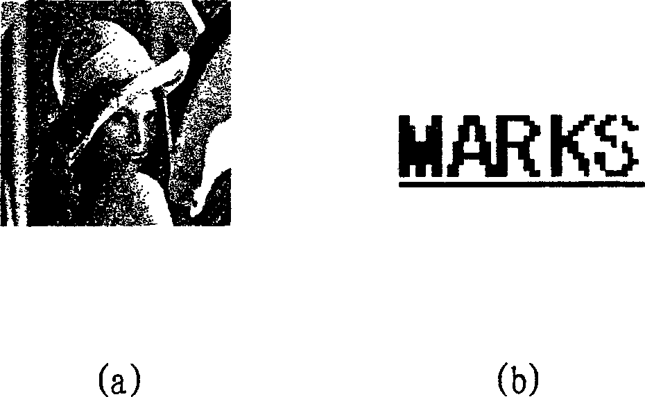 Method and device for uniting digital water print based on singular value analysis and spread spectrum technique