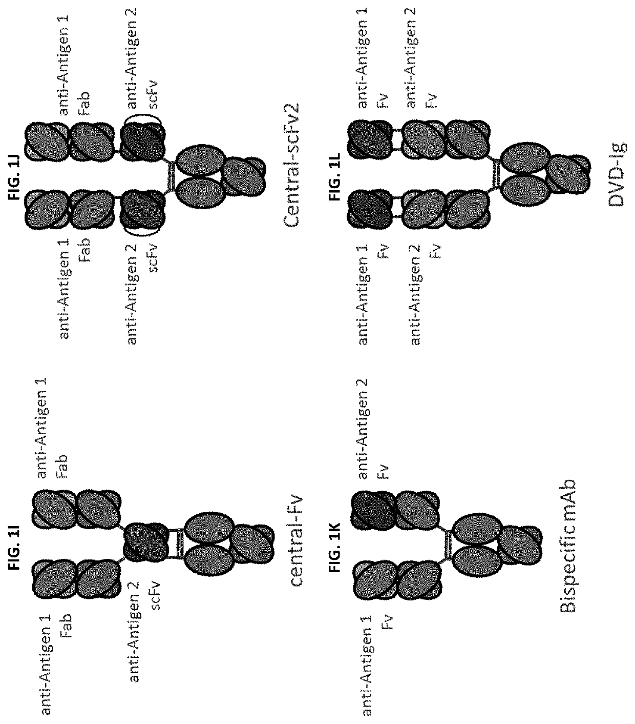 Bispecific and monospecific antibodies using novel anti-PD-1 sequences