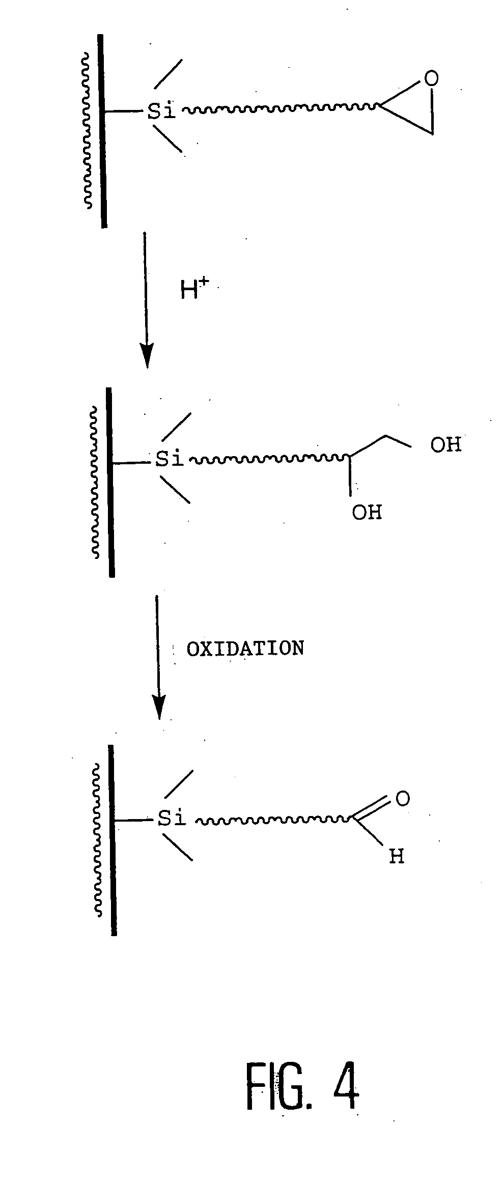 Method of immobilizing probes, in particular for producing biochips
