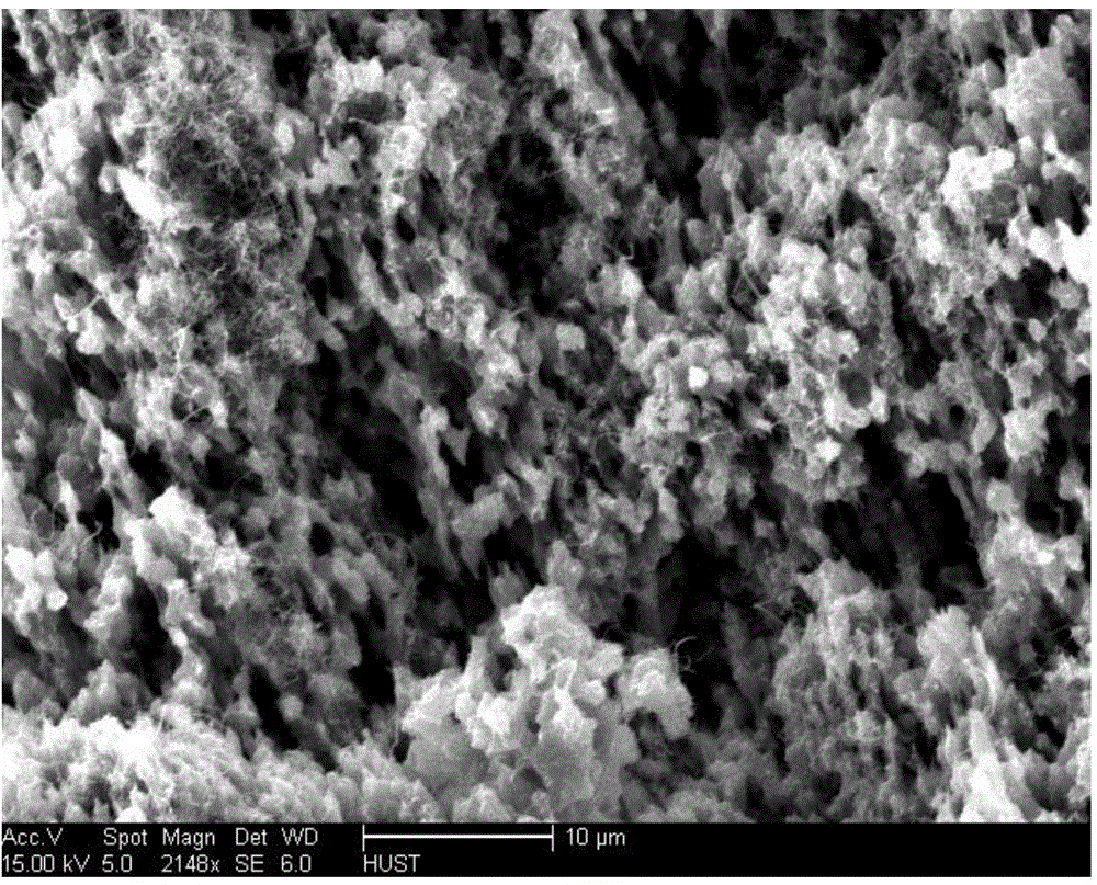 Porous polyvinylidene fluoride-carbon nanotube composite material and preparation method thereof