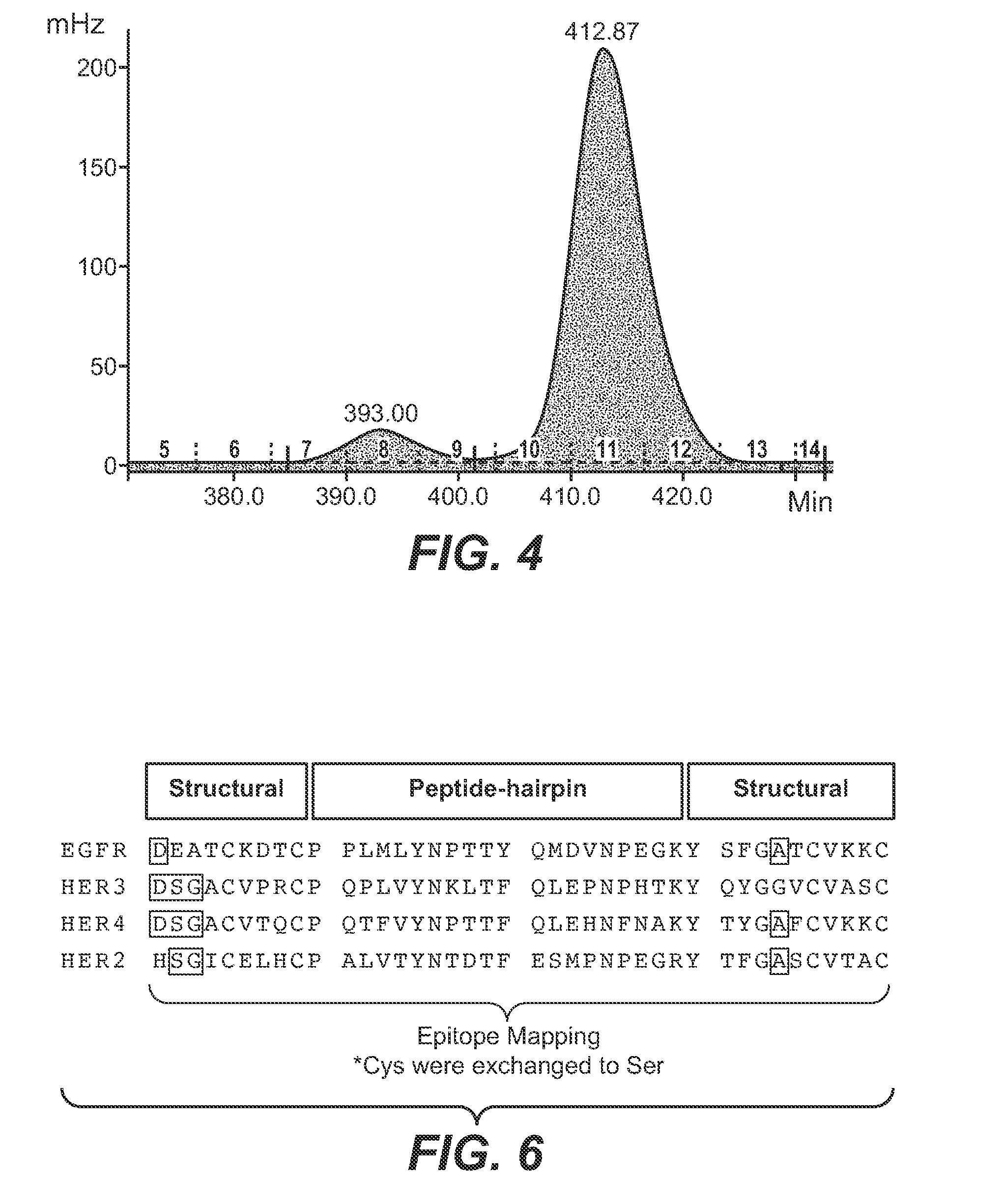 Her1 antigen binding proteins binding to the beta-hairpin of her1