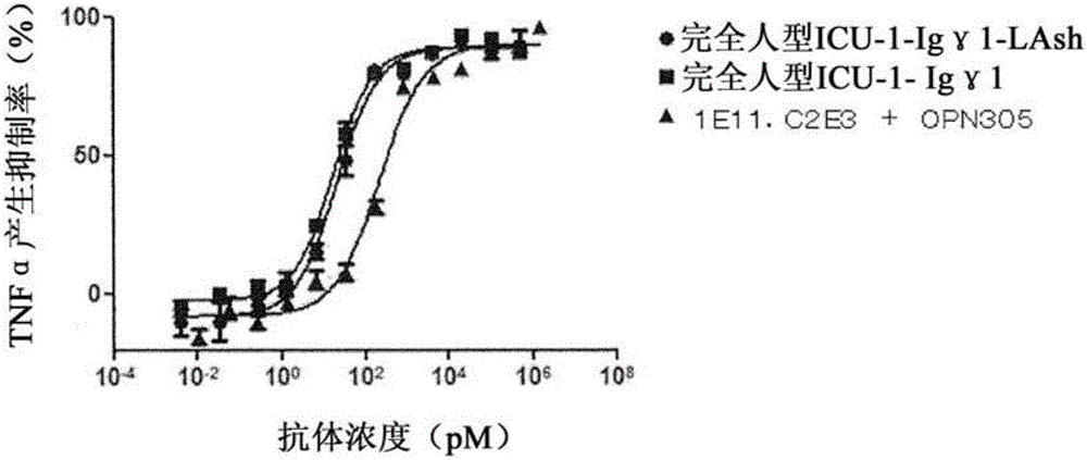 Novel bispecific antibody binding to human TLR2 and human TLR4